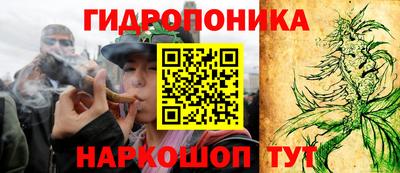 mdma Заводоуковск
