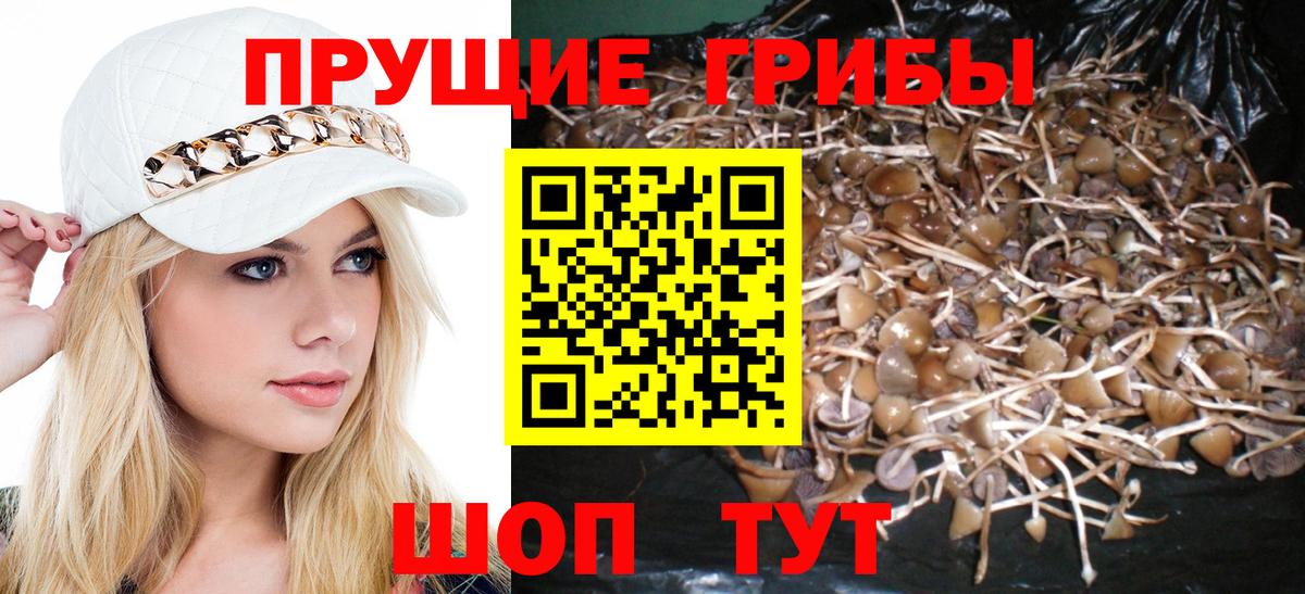 Галлюциногенные грибы мухоморы Екатеринбург