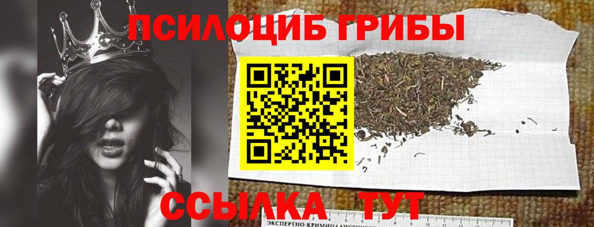 Екатеринбург  Псилоцибиновые грибы прущие грибы  Вход с VPN 